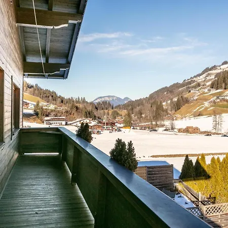 Appartement Blumenwiese I Und Ii Hopfgarten im Brixental